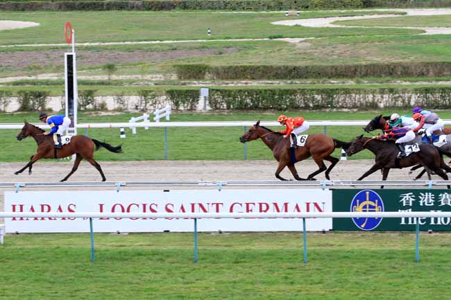 Photo d'arrivée de la course pmu PRIX D'ARGENTAN à DEAUVILLE le Mercredi 15 août 2018