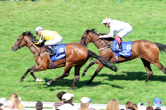 Photo d'arrivée de la course pmu DARLEY PRIX MORNY à DEAUVILLE le Dimanche 19 août 2018