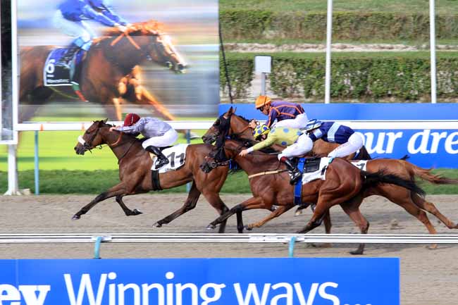 Photo d'arrivée de la course pmu PRIX DE LA VILLA LES AJONCS à DEAUVILLE le Dimanche 19 août 2018