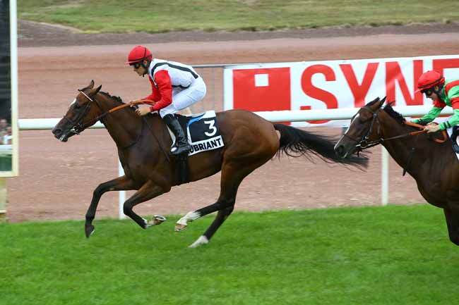Photo d'arrivée de la course pmu PRIX DES ETOILES - PRIX A.P.G.O. à CHATEAUBRIANT le Lundi 20 août 2018