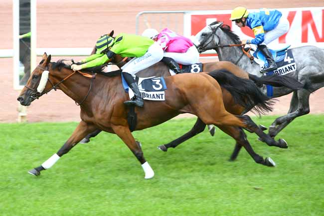Photo d'arrivée de la course pmu PRIX DE PARISLONGCHAMP à CHATEAUBRIANT le Lundi 20 août 2018