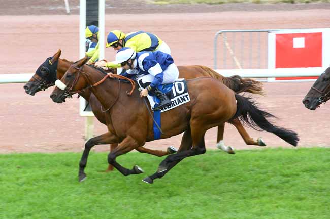 Photo d'arrivée de la course pmu PRIX DE LA REGION BRETAGNE à CHATEAUBRIANT le Lundi 20 août 2018