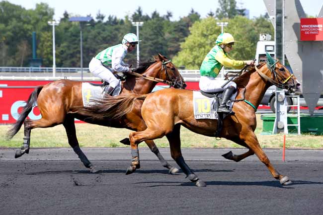 Photo d'arrivée de la course pmu PRIX DE SEGRE à PARIS-VINCENNES le Mercredi 22 août 2018