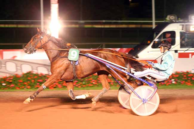 Photo d'arrivée de la course pmu PRIX DE CLAIREFONTAINE à CABOURG le Vendredi 24 août 2018