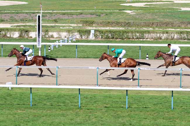 Photo d'arrivée de la course pmu PRIX DE L'ABBAYE SAINT-LEONARD à DEAUVILLE le Vendredi 24 août 2018