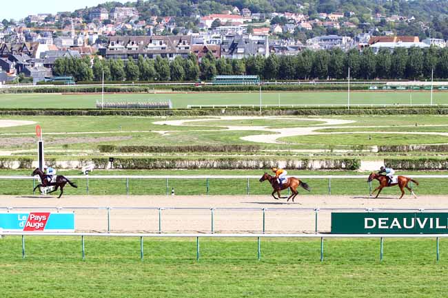 Photo d'arrivée de la course pmu PRIX DE LA CAUVINIERE à DEAUVILLE le Mardi 28 août 2018