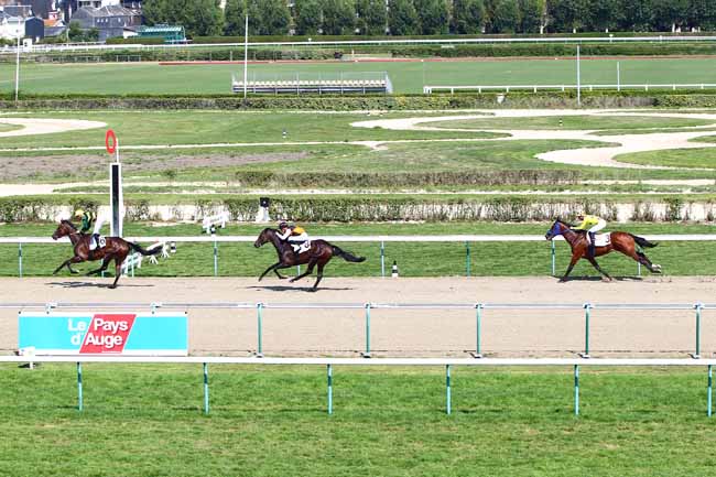 Photo d'arrivée de la course pmu PRIX DU LOUVET à DEAUVILLE le Mardi 28 août 2018