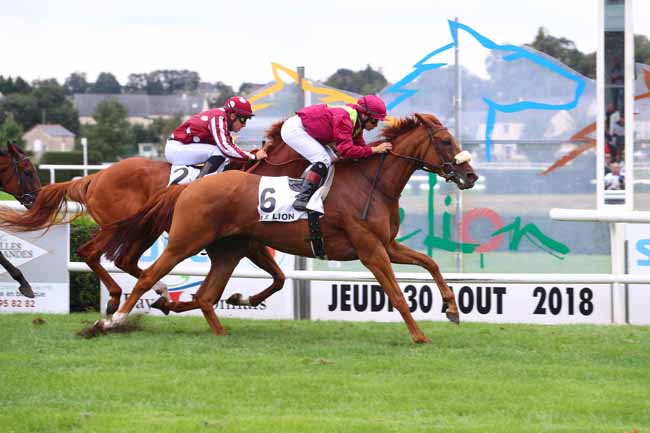 Photo d'arrivée de la course pmu PRIX PAUL SAULOU à LE LION D'ANGERS le Jeudi 30 août 2018