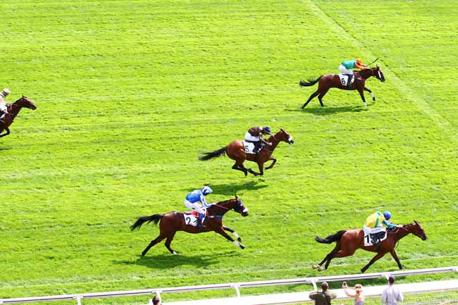 Photo d'arrivée de la course pmu PRIX DE GIEN à AUTEUIL le Vendredi 31 août 2018