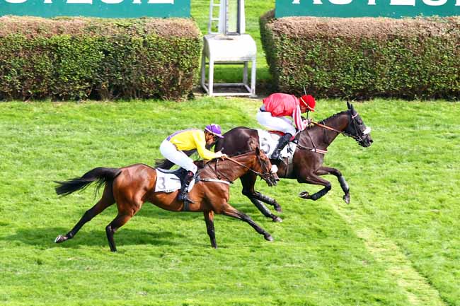 Photo d'arrivée de la course pmu PRIX RECRUIT II à AUTEUIL le Vendredi 31 août 2018