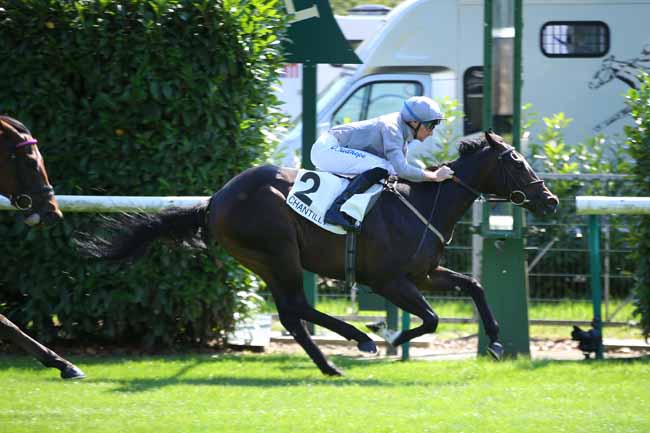 Photo d'arrivée de la course pmu PRIX D'ARENBERG à CHANTILLY le Samedi 1 septembre 2018