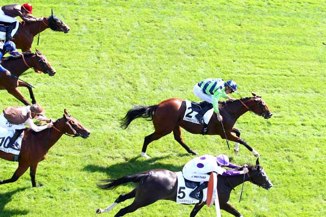 Photo d'arrivée de la course pmu PRIX DE LA ROUTE DES POSTES à CHANTILLY le Samedi 1 septembre 2018