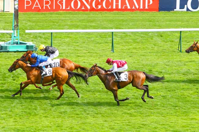 Photo d'arrivée de la course pmu PRIX DE LA COCHERE - FONDS EUROPEEN DE L'ELEVAGE à LONGCHAMP le Mercredi 5 septembre 2018