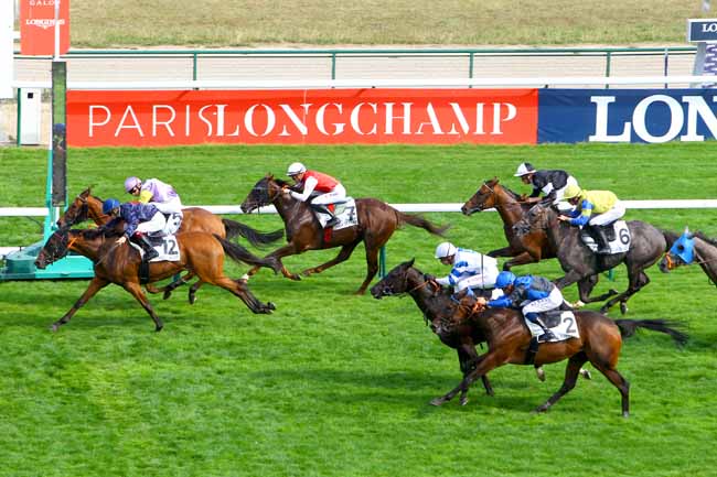Photo d'arrivée de la course pmu PRIX DE LA FONTAINE DES HAUDRIETTES à LONGCHAMP le Mercredi 5 septembre 2018