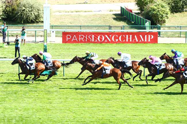 Photo d'arrivée de la course pmu PRIX DU MUSEE DES ARTS DECORATIFS à LONGCHAMP le Dimanche 9 septembre 2018