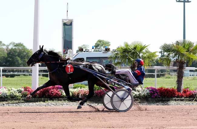 Photo d'arrivée de la course pmu GRAND PRIX DYNAVENA MAISAGRI DURAN à TOULOUSE le Mardi 11 septembre 2018