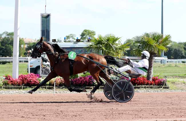 Photo d'arrivée de la course pmu PRIX ROBERT BORDENAVE à TOULOUSE le Mardi 11 septembre 2018