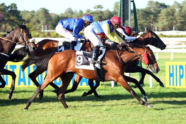 Photo d'arrivée de la course pmu PRIX DE LA COUR DES ADIEUX à FONTAINEBLEAU le Mardi 11 septembre 2018