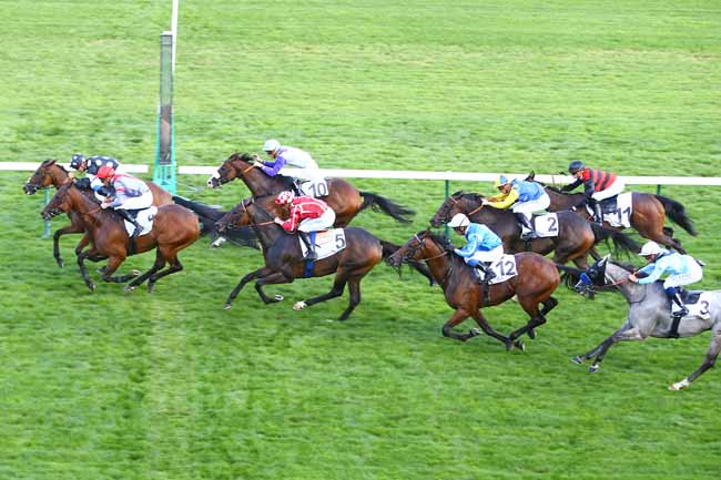 Photo d'arrivée de la course pmu PRIX DE L'ESPLANADE à LONGCHAMP le Mercredi 12 septembre 2018