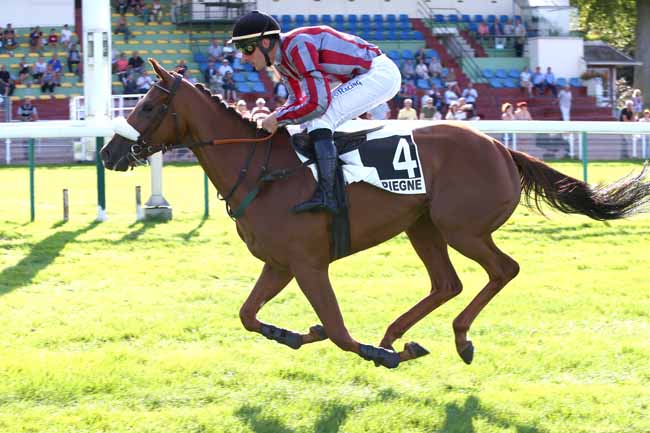 Photo d'arrivée de la course pmu PRIX ROMAN OAK à COMPIEGNE le Mercredi 12 septembre 2018