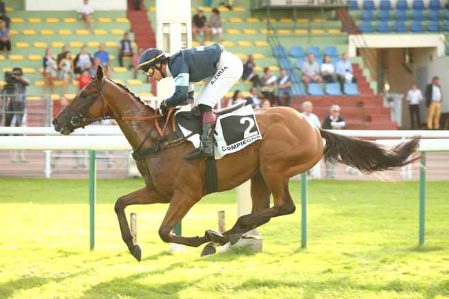 Photo d'arrivée de la course pmu PRIX SUMMIT à COMPIEGNE le Mercredi 12 septembre 2018
