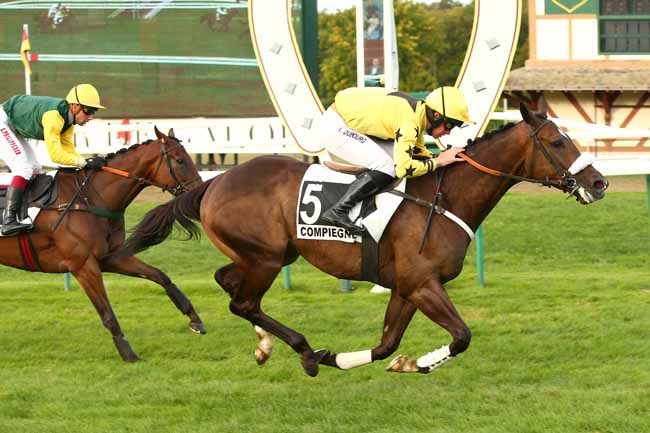 Photo d'arrivée de la course pmu PRIX ASTON BLOUNT à COMPIEGNE le Mercredi 12 septembre 2018