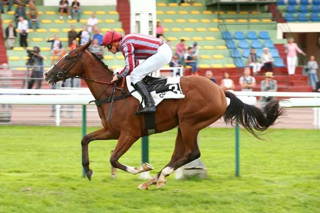 Photo d'arrivée de la course pmu PRIX MAURICE D'OKHUYSEN à COMPIEGNE le Mercredi 12 septembre 2018