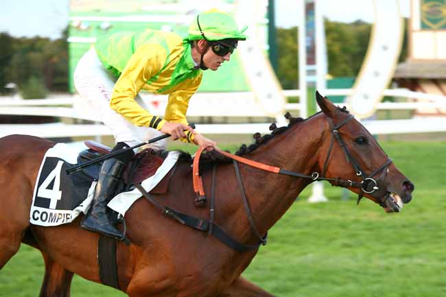 Photo d'arrivée de la course pmu PRIX DES ROUGES TERRES à COMPIEGNE le Mercredi 12 septembre 2018