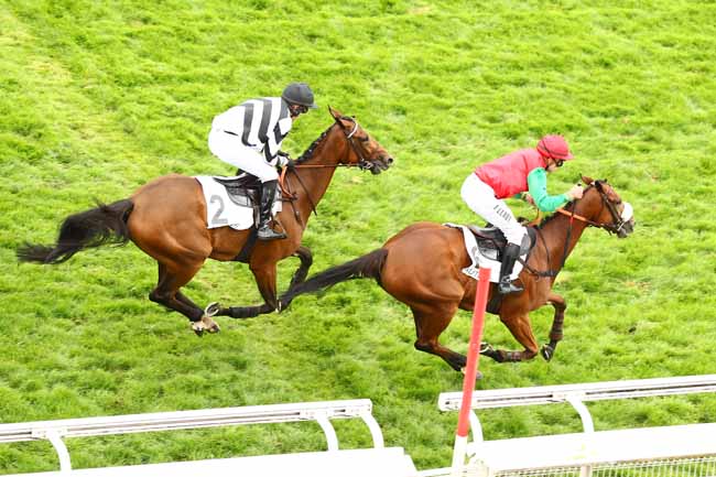 Photo d'arrivée de la course pmu PRIX AMATI à AUTEUIL le Jeudi 13 septembre 2018