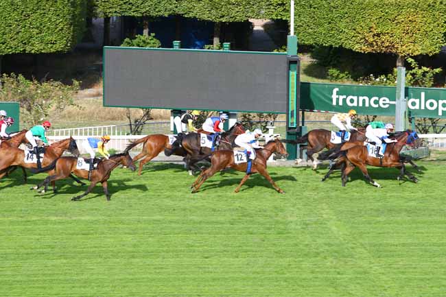 Photo d'arrivée de la course pmu PRIX DE PRIGNAC à SAINT-CLOUD le Vendredi 14 septembre 2018