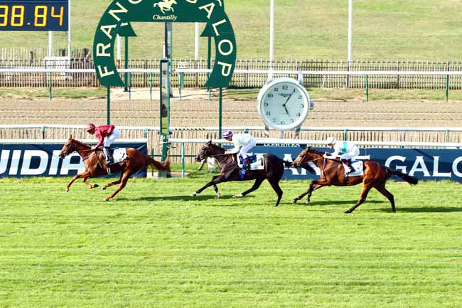 Photo d'arrivée de la course pmu PRIX DE LA RECONVERSION D'UN CHEVAL DE COURSES EN CHEVAL DE JUMPING à CHANTILLY le Samedi 15 septembre 2018