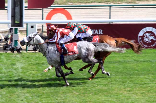 Photo d'arrivée de la course pmu QATAR CUP - PRIX DRAGON à LONGCHAMP le Dimanche 16 septembre 2018