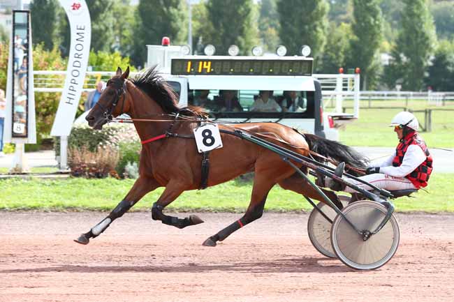 Photo d'arrivée de la course pmu PRIX DE LA VILLE D'AMIENS à AMIENS le Mercredi 19 septembre 2018