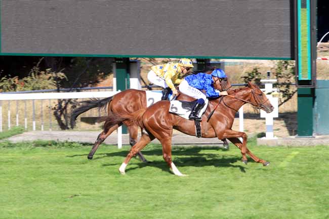 Photo d'arrivée de la course pmu PRIX AS D'ATOUT à SAINT-CLOUD le Mercredi 19 septembre 2018