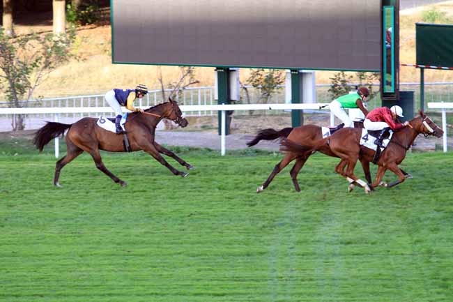 Photo d'arrivée de la course pmu PRIX DE FEUCHEROLLES à SAINT-CLOUD le Mercredi 19 septembre 2018