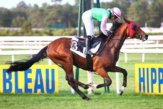 Photo d'arrivée de la course pmu PRIX DES SAULES à FONTAINEBLEAU le Jeudi 20 septembre 2018