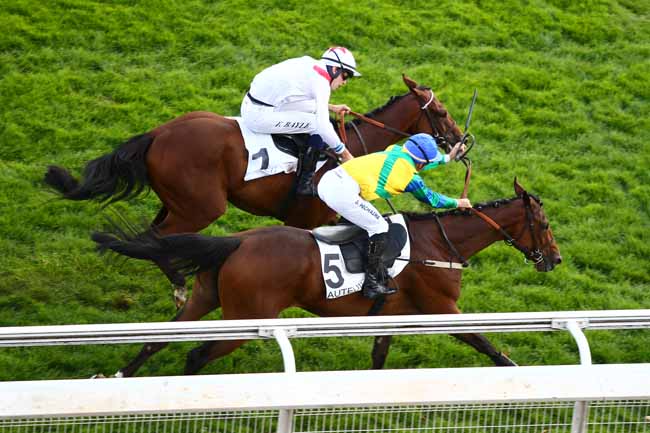Photo d'arrivée de la course pmu PRIX LE GOURZY à AUTEUIL le Lundi 24 septembre 2018