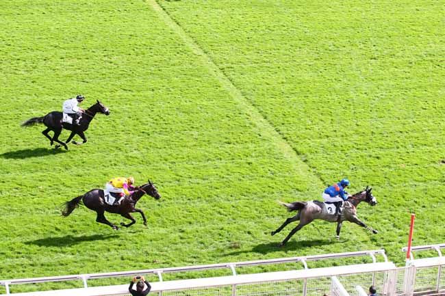 Photo d'arrivée de la course pmu PRIX ROBERT LEJEUNE à AUTEUIL le Lundi 24 septembre 2018