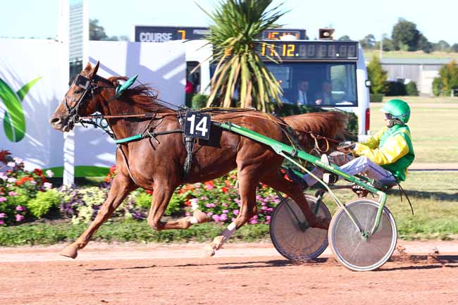 Photo d'arrivée de la course pmu PRIX CREDIT AGRICOLE (GR A) à VIRE le Mercredi 26 septembre 2018