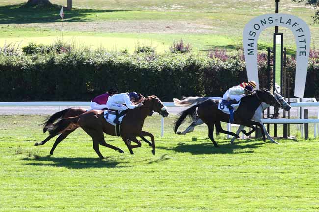 Photo d'arrivée de la course pmu PRIX DE GARGENVILLE à MAISONS-LAFFITTE le Mercredi 26 septembre 2018