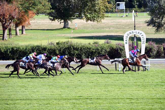 Photo d'arrivée de la course pmu PRIX DE LA VASTINE à MAISONS-LAFFITTE le Mercredi 26 septembre 2018