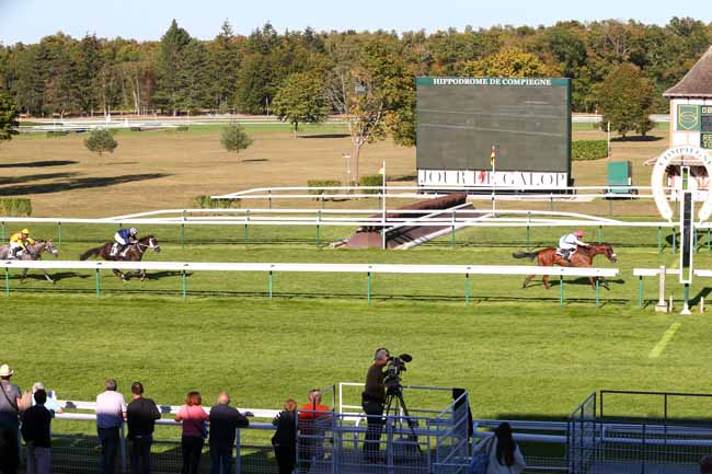 Photo d'arrivée de la course pmu PRIX DE CHABLIS à COMPIEGNE le Jeudi 27 septembre 2018