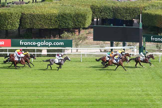 Photo d'arrivée de la course pmu PRIX DE LEVIS SAINT-NOM à SAINT-CLOUD le Vendredi 28 septembre 2018
