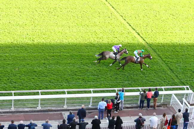 Photo d'arrivée de la course pmu PRIX DE MAISONS-LAFFITTE à AUTEUIL le Samedi 29 septembre 2018