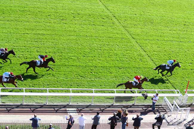 Photo d'arrivée de la course pmu PRIX ISOPANI à AUTEUIL le Jeudi 4 octobre 2018