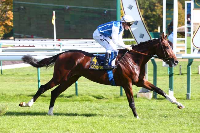 Photo d'arrivée de la course pmu PRIX DES RUINES DE CHAMPLIEU à COMPIEGNE le Jeudi 4 octobre 2018