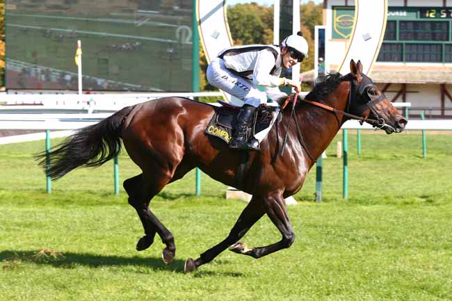 Photo d'arrivée de la course pmu PRIX ANNIE DONGUY à COMPIEGNE le Jeudi 4 octobre 2018