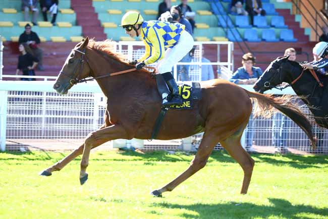 Photo d'arrivée de la course pmu PRIX DE GILOCOURT à COMPIEGNE le Jeudi 4 octobre 2018