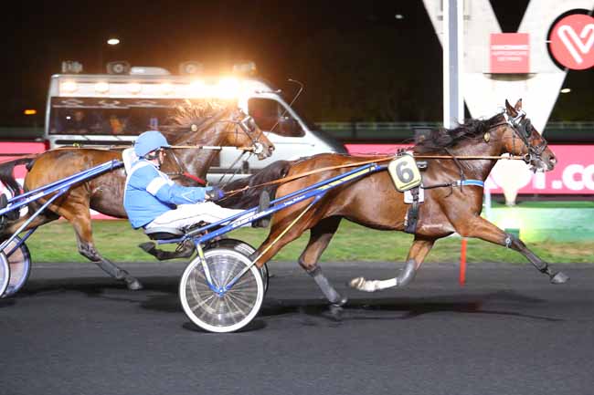 Photo d'arrivée de la course pmu PRIX ELSA à PARIS-VINCENNES le Vendredi 5 octobre 2018