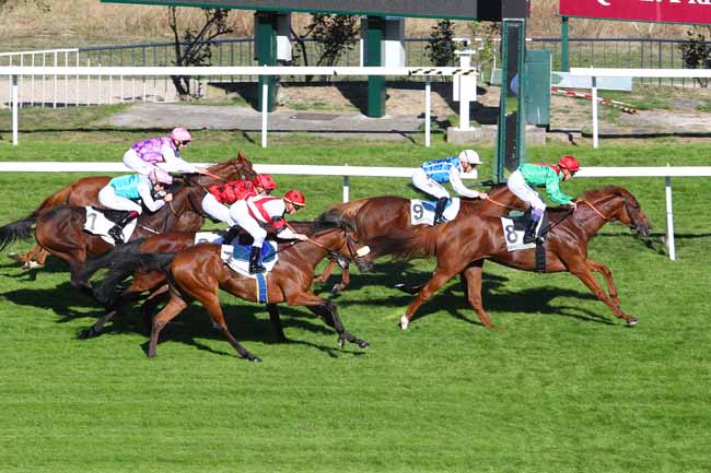 Photo d'arrivée de la course pmu PRIX DAHLIA à SAINT-CLOUD le Vendredi 5 octobre 2018